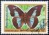 Colnect-1939-408-One-spotted-Prepona-Prepona-dremophon.jpg