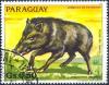 Colnect-2321-533-Collared-peccary-Tayassu-tajacu.jpg