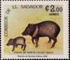 Colnect-2680-153-Collared-Peccary-Tayassu-tajacu.jpg