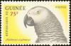 Colnect-2809-900-African-Grey-Parrot-Psittacus-erythacus.jpg