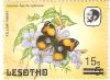 Colnect-2865-419-Yellow-Pansy-Junonia-hierta.jpg