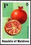 Colnect-4185-866-Pomegranagtes.jpg