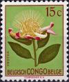 Colnect-4307-180-Protea-argyrea.jpg