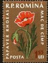 Colnect-4398-485-Papaver-rhoeas.jpg