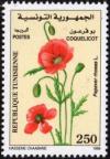 Colnect-4511-177-Common-poppy-Papaver-rhoeas.jpg