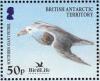 Colnect-4568-896-Southern-Giant-Petrel-Macronectes-giganteus.jpg