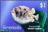 Colnect-4611-731-Porcupinefish.jpg