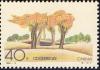 Colnect-5176-726-Poplar-forest.jpg