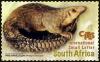 Colnect-5550-282-White-belled-Pangolin-Smutsia-tricuspis.jpg