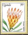 Colnect-5627-189-Protea-Repens.jpg