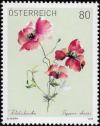 Colnect-5629-431-Common-Poppy-Papaver-rhoeas.jpg