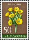 Colnect-5664-795-Primula-Veris.jpg