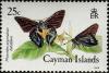 Colnect-5671-250-Mangrove-Skipper-Phocides-pigmalion-ssp-batabano.jpg