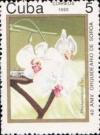 Colnect-865-172-Phalaenopsis.jpg