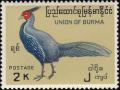 Colnect-1503-859-Lineated-Kalij-Pheasant-Lophura-leucomelanos.jpg