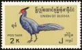 Colnect-1503-871-Lineated-Kalij-Pheasant-Lophura-leucomelanos.jpg