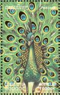 Colnect-1614-704-Green-Peafowl-Pavo-muticus.jpg