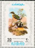 Colnect-1786-010-Indian-Pitta-Pitta-brachyura.jpg