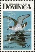 Colnect-1788-028-Black-capped-Petrel-Pterodroma-hasitata.jpg