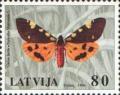 Colnect-191-980-Matron-Pericallia-matronula.jpg