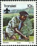 Colnect-2275-022-Planting-tree.jpg