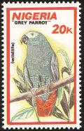 Colnect-2287-596-African-Grey-Parrot-Psittacus-erithacus.jpg