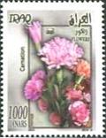 Colnect-2566-017-Pink-dianthus.jpg