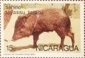 Colnect-3235-830-Collared-Peccary-Tayassu-tajacu.jpg