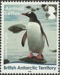 Colnect-3716-124-Gentoo-Penguin-Pygoscelis-papua-Fully-grown.jpg