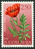 Colnect-5633-654-Papaver-rhoeas.jpg