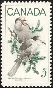 Colnect-1785-153-Grey-Jay-Perisoreus-canadensis-.jpg