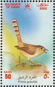 Colnect-1464-139-Graceful-Prinia-Prinia-gracilis.jpg