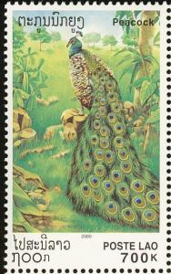 Colnect-1614-700-Green-Peafowl-Pavo-muticus.jpg