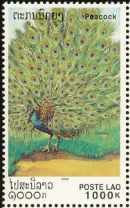 Colnect-1614-701-Green-Peafowl-Pavo-muticus.jpg