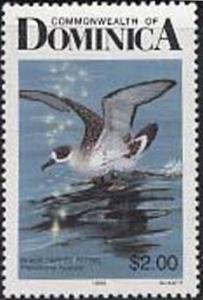 Colnect-2268-641-Black-capped-Petrel-Pterodroma-hasitata.jpg