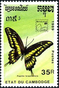 Colnect-2617-246-King-Swallowtail-Papilio-thoas-ssp-brasiliensis.jpg