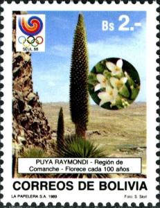 Colnect-2322-998-Puya-raimondii.jpg