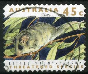 Colnect-1407-687-Little-Pygmy-Possum-Cercartetus-lepidus.jpg