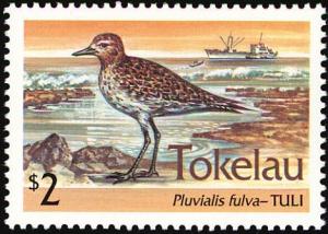 Colnect-1458-500-Pacific-Golden-Plover-Pluvialis-fulva-nbsp-.jpg