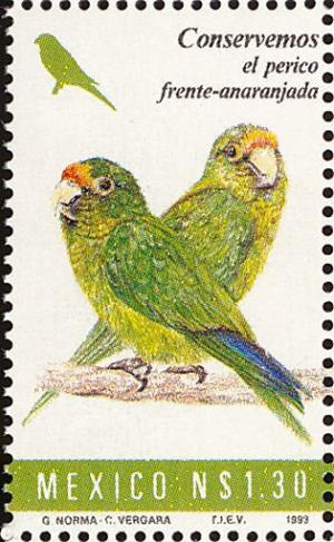 Colnect-1490-697-Orange-fronted-Parakeet-Aratinga-canicularis.jpg