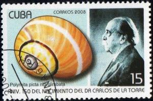 Colnect-1572-848-Cuban-Land-Snail-Polymita-picta-ssp-nigrolimbata.jpg