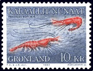 Colnect-1676-372-Deepwater-Prawn-Pandalus-borealis.jpg