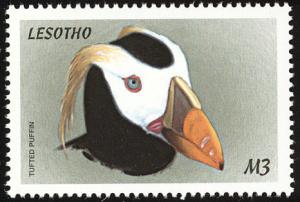 Colnect-1725-597-Tufted-Puffin-Lunda-cirrhata.jpg