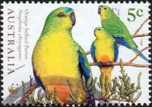 Colnect-2013-493-Orange-bellied-Parrot-Neophema-chrysogaster.jpg