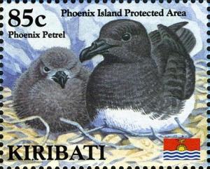 Colnect-2650-787-Phoenix-Petrel-Pterodroma-alba.jpg