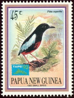 Colnect-2767-665-Superb-Pitta-Pitta-superba---overprinted.jpg