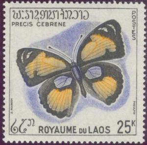 Colnect-310-849-Yellow-Pansy-Precis-cebrene.jpg