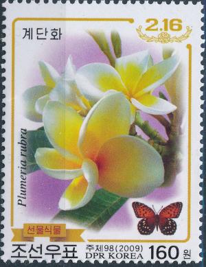 Colnect-3316-692-Plumeria-alba.jpg