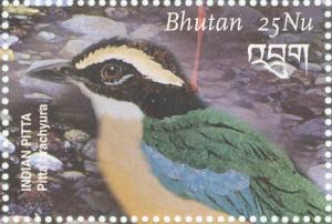 Colnect-3395-669-Indian-Pitta-Pitta-brachyura.jpg