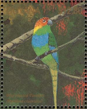 Colnect-3516-447-Ochre-marked-Parakeet-Pyrrhura-cruentata.jpg